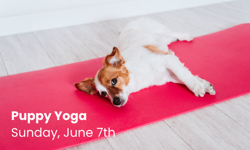 AFHS Puppy Yoga